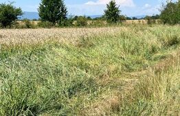 Oportunitate!!! Teren intravilan, 7800 mp, Horodnic de Jos