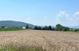 Oportunitate!!! Teren intravilan, 7800 mp, Horodnic de Jos