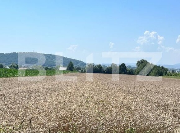 Teren de vânzare Horodnic - 152973TV | BLITZ Suceava | Poza1