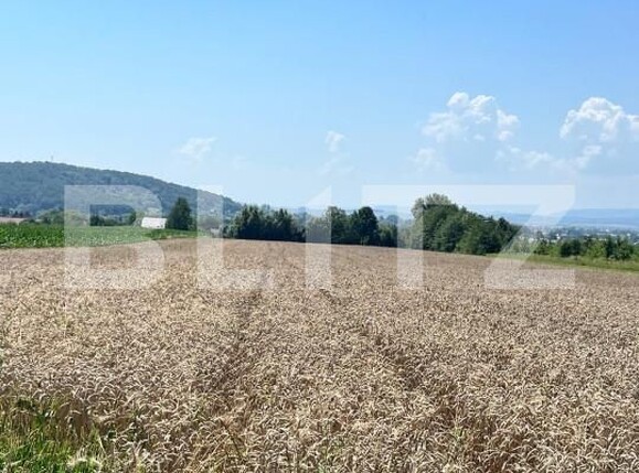 Teren de vânzare Horodnic - 152973TV | BLITZ Suceava | Poza4