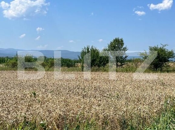 Teren de vânzare Horodnic - 152973TV | BLITZ Suceava | Poza3