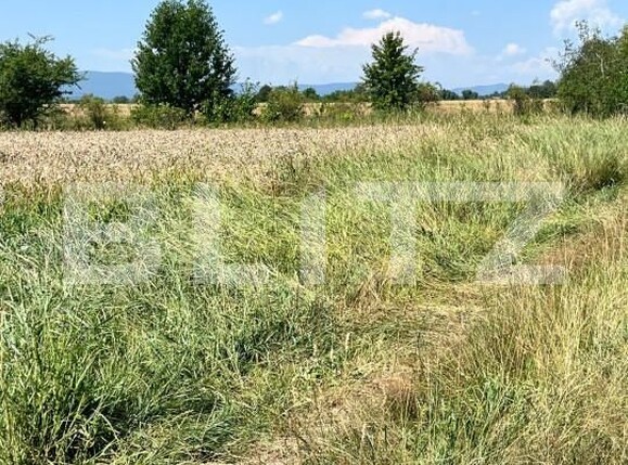 Teren de vânzare Horodnic - 152973TV | BLITZ Suceava | Poza5