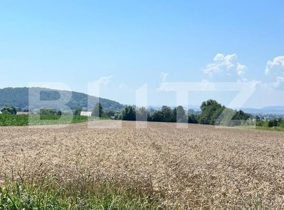 Teren de vânzare Horodnic - 152973TV | BLITZ Suceava | Poza2