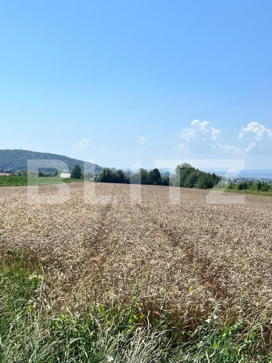 Teren de vânzare Horodnic - 152973TV | BLITZ Suceava | Poza4