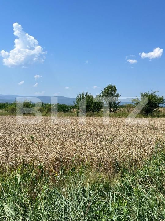 Teren de vânzare Horodnic - 152973TV | BLITZ Suceava | Poza3