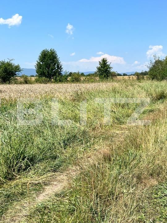 Teren de vânzare Horodnic - 152973TV | BLITZ Suceava | Poza5