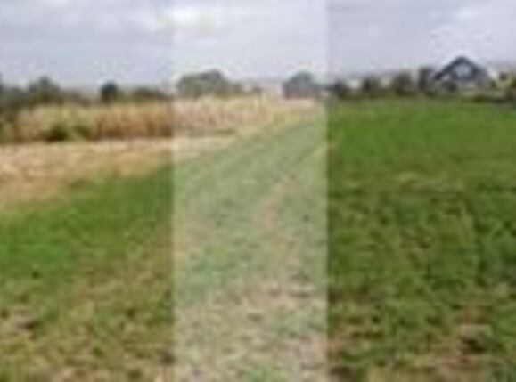 Teren de vânzare Central - 153030TV | BLITZ Suceava | Poza2