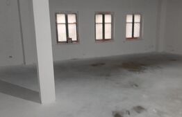 Oportunitate! Cladire cu destinatii multiple, 221 mp, zona Obcini