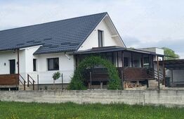 Casa 5 camere, zona linistita, 3200 mp teren!