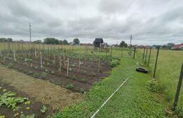 Casa 5 camere, zona linistita, 3200 mp teren!