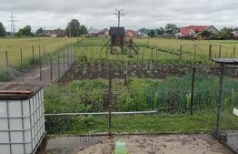 Casa 5 camere, zona linistita, 3200 mp teren!