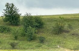 Teren intravilan pentru investit 5200 mp 