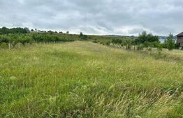 Teren intravilan pentru investit 5200 mp 