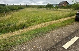 Teren intravilan pentru investit 5200 mp 