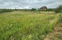 Teren intravilan pentru investit 5200 mp 
