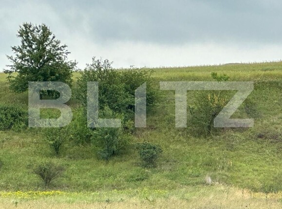 Teren de vânzare Radauti - 153131TV | BLITZ Suceava | Poza4