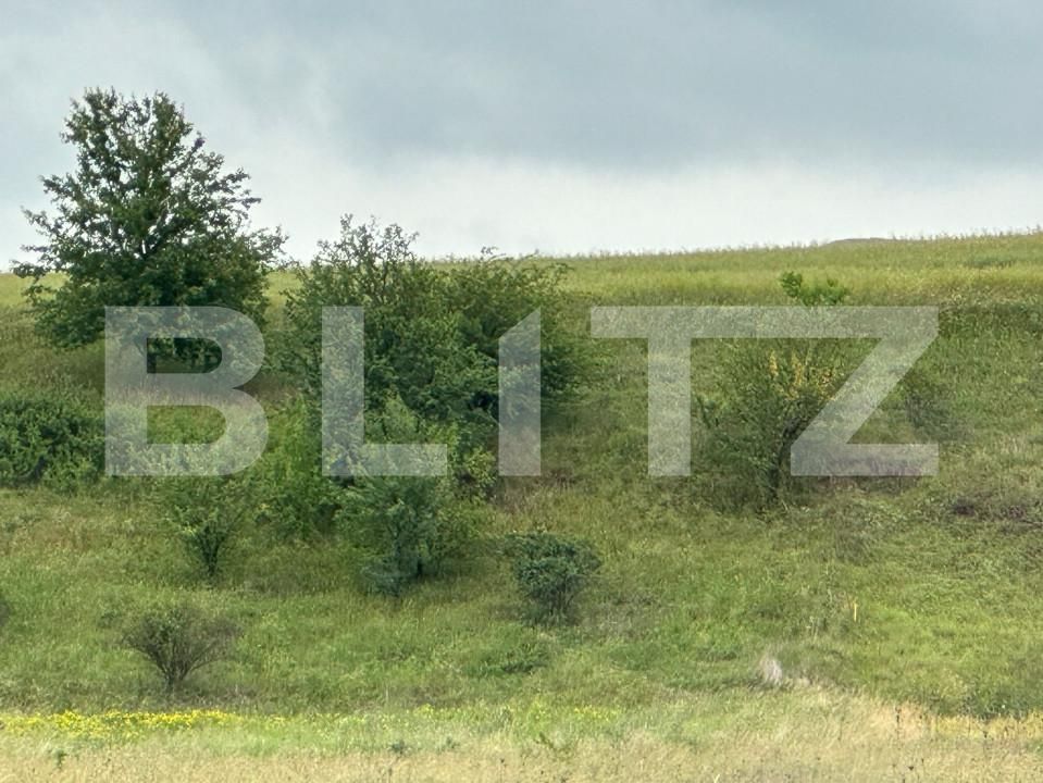 Teren de vânzare Radauti - 153131TV | BLITZ Suceava | Poza4