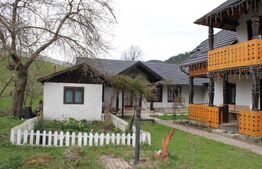 Casa de vacanta si anexe in  Stulpicani