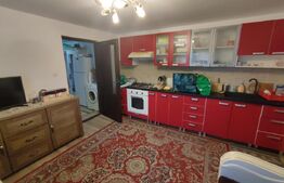 Casa de vacanta si anexe in  Stulpicani