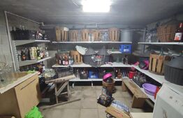 Casa de vacanta si anexe in  Stulpicani