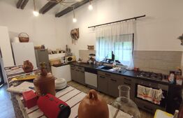 Casa de vacanta si anexe in  Stulpicani