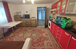 Casa de vacanta si anexe in  Stulpicani