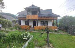 Casa de vacanta si anexe in  Stulpicani