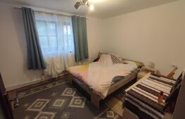 Casa de vacanta si anexe in  Stulpicani