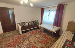 Casa de vacanta si anexe in  Stulpicani