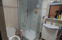 Casa de vacanta si anexe in  Stulpicani