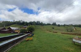 Teren intravilan 3300 mp, Molid, pretabil casa, cabana, casa de vacanta!