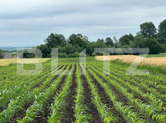 Teren de vânzare Radauti - 153152TV | BLITZ Suceava | Poza1