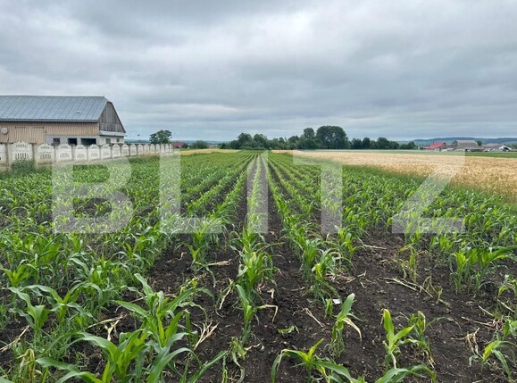 Teren de vânzare Radauti - 153152TV | BLITZ Suceava | Poza3