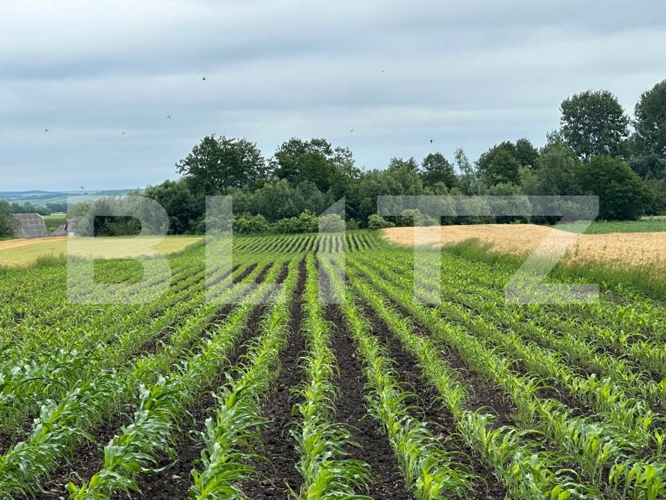 Teren de vânzare Radauti - 153152TV | BLITZ Suceava | Poza1