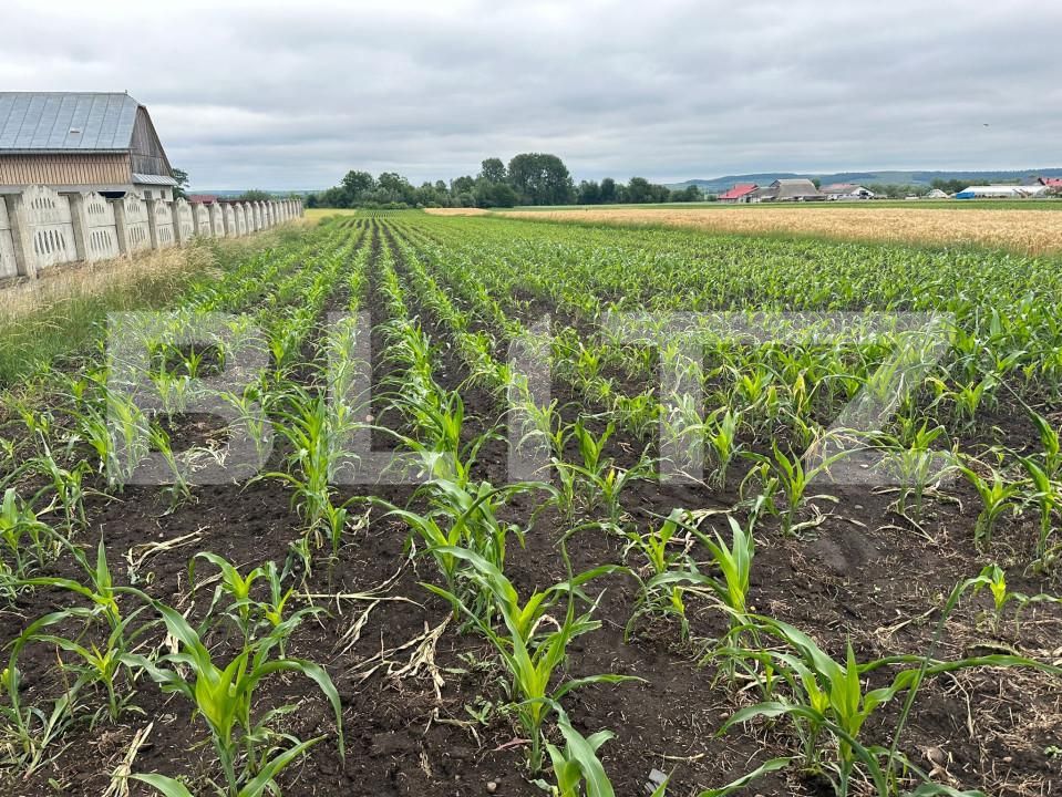 Teren de vânzare Radauti - 153152TV | BLITZ Suceava | Poza2