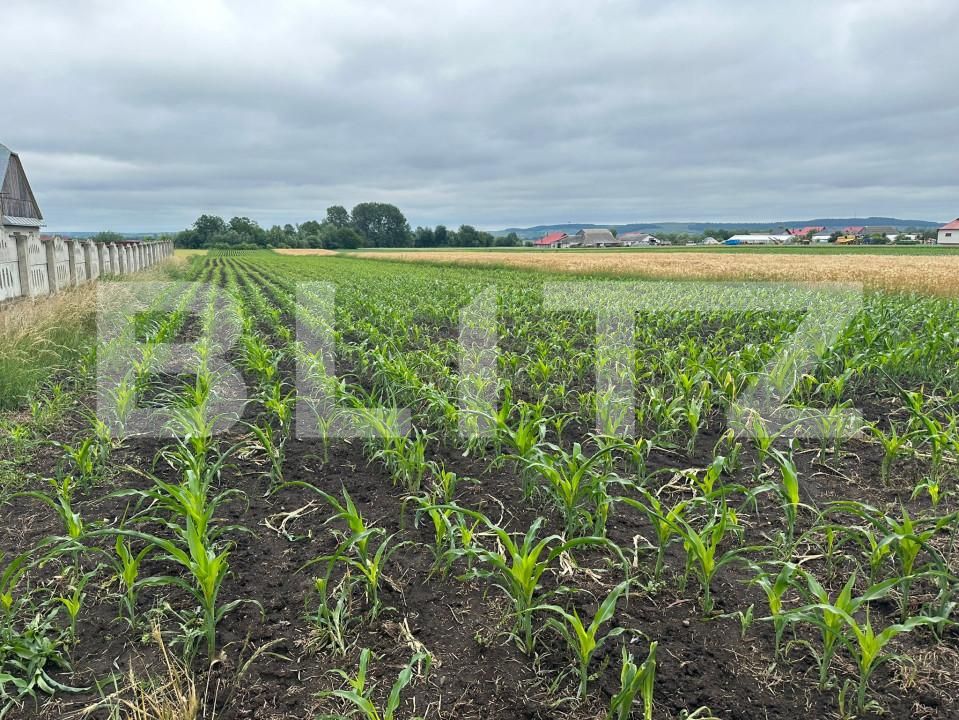 Teren de vânzare Radauti - 153152TV | BLITZ Suceava | Poza4