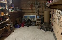 Oportunitate ,Cabana Deosebită de 300 mp – Refugiul Ideal la Munte