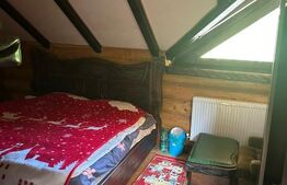 Oportunitate ,Cabana Deosebită de 300 mp – Refugiul Ideal la Munte