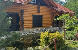 Oportunitate ,Cabana Deosebită de 300 mp – Refugiul Ideal la Munte