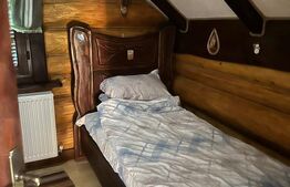 Oportunitate ,Cabana Deosebită de 300 mp – Refugiul Ideal la Munte