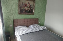 Apartament modern,2 camere, Siret