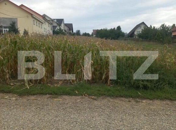 Teren de vânzare Central - 153202TV | BLITZ Suceava | Poza1