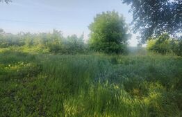 Casa + teren 1153 mp, Siret