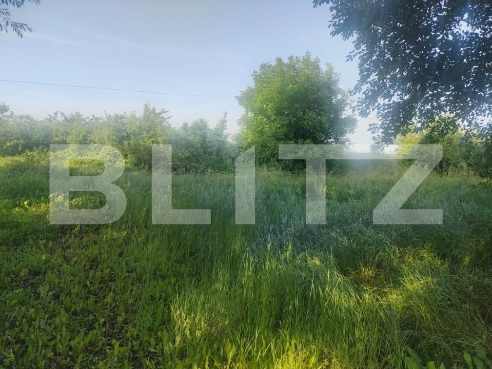 Casa de vânzare 2 camere Siret - 153236CV | BLITZ Suceava | Poza7