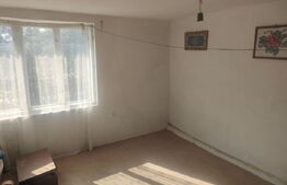 Casa + teren 3800mp, Satu Mare, jud Suceava