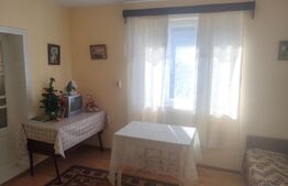 Casa + teren 3800mp, Satu Mare, jud Suceava