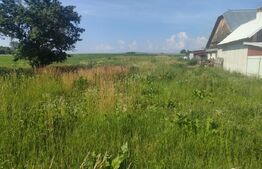 Casa + teren 3800mp, Satu Mare, jud Suceava