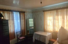 Casa + teren 3800mp, Satu Mare, jud Suceava