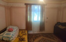 Casa + teren 3800mp, Satu Mare, jud Suceava