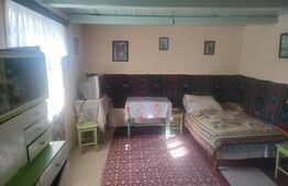 Casa + teren 3800mp, Satu Mare, jud Suceava